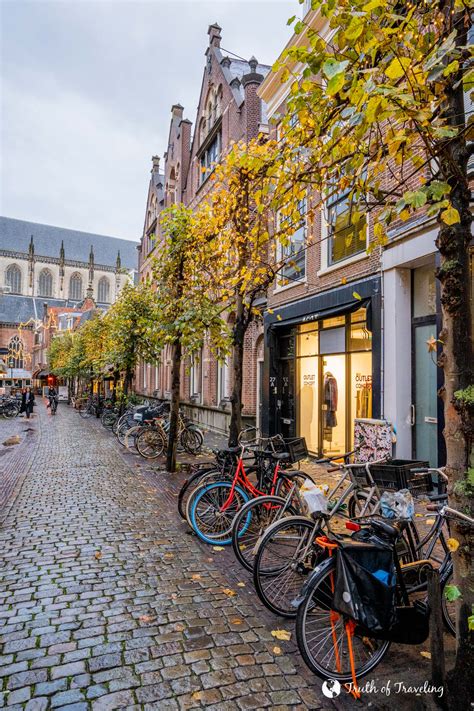 5 Reasons to Visit Haarlem in the Netherlands - Truth of Traveling