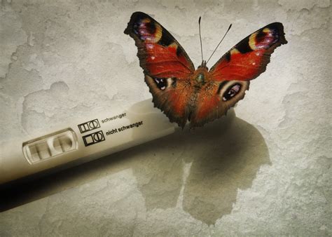 Naturlich Verhuten Wie Sie Pille Und Co Absetzen 4