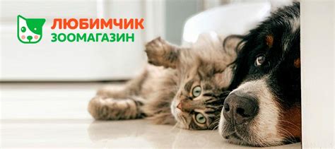 Интернет-зоомагазин Любимчик﻿ - Best Benefits