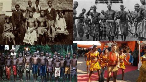 Origin of Igbo tribe in Nigeria: Interesting theories to know - Legit.ng