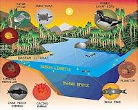 Ekosistem Air Tawar | BIOLOGIPEDIA