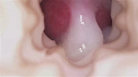 Free Fleshlight Cum Gay Porn Videos XHamster