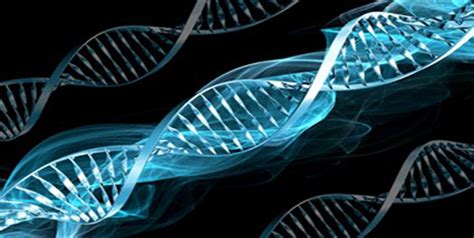 Strong Doubt Cast On Another Gay Gene Study