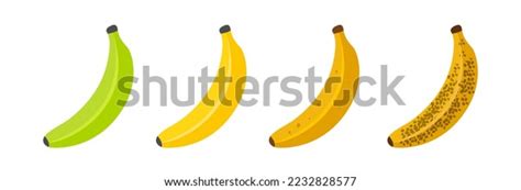 Banana Ripeness Stages Growth Ripening Banana Stock Vector (Royalty ...