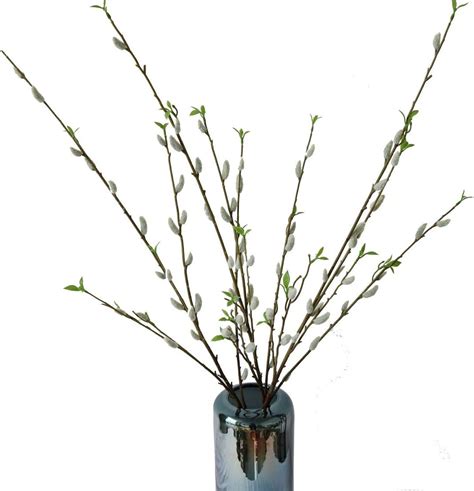 Amazon Elyjhyy Artificial Pussy Willow Branches For Tall Vase Fake Willow Stems For Home
