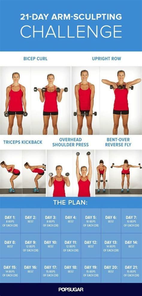 The 11 Best Exercises To Tone Your Arms The Eleven Best Fitness Body