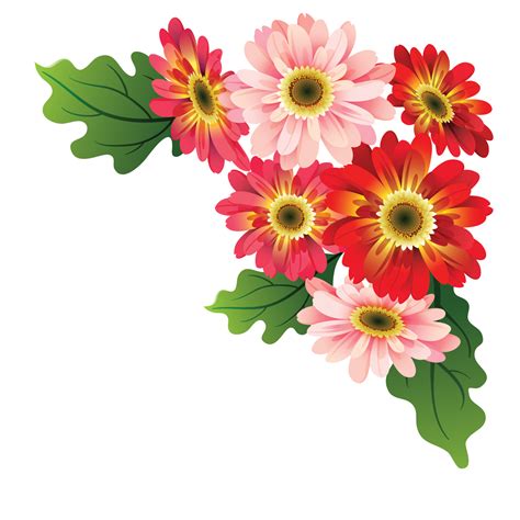 flores png  images  transparent background   downloads