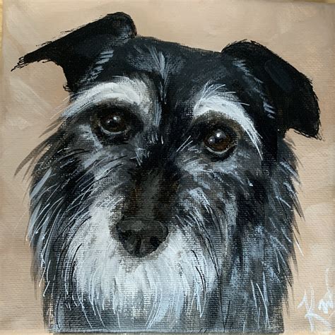 Chewy Pet Portraits Kali Wallace