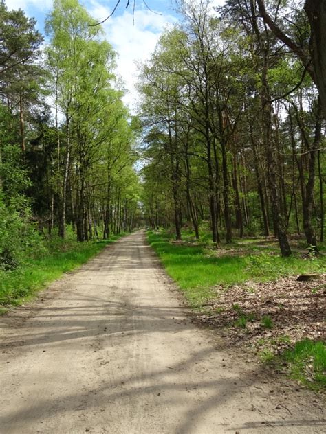 De Roek routes - De Roek Vakantiebungalows