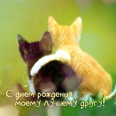 Открытка 'С днем рождения моему лучшему другу!' — Скачайте на Davno.ru