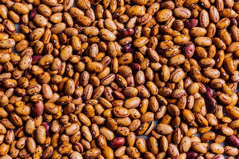 bean science part   nik sharma  flavor files