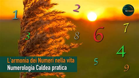 L Armonia Dei Numeri Nella Vita Numerologia Caldea Pratica Canale