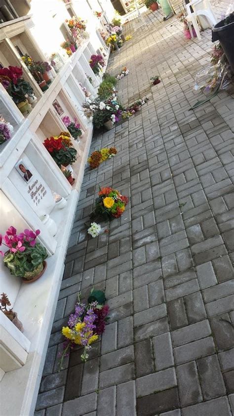 Furto Al Cimitero Di Ladispoli Interviene Il Circolo Pd • Terzo
