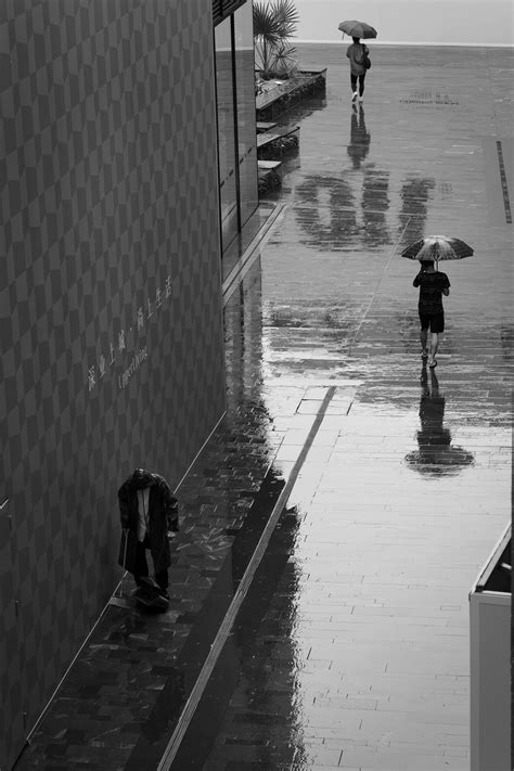 People Walking With Umbrella In Rain · Free Stock Photo