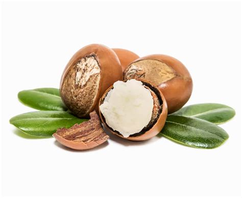 Coxonut Oil And Shea Butter