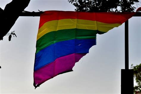 O Casamento Gay Como Alvo Da Pol Tica Lgbtf Bica A Gazeta