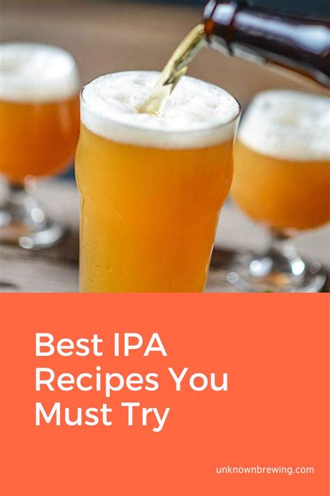 16 Best IPA Recipes You Must Try