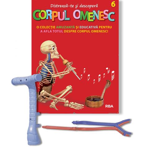 Corpul Omenesc Trahee Esofag Vene Superioare Bleu Artere