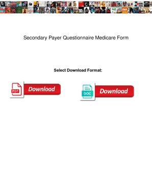 Fillable Online Secondary Payer Questionnaire Medicare Form Secondary