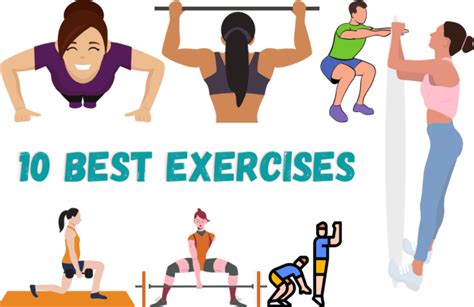 exercises   complete workout