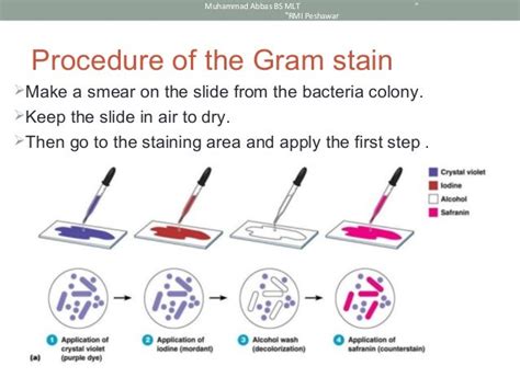 Gram stain procedure