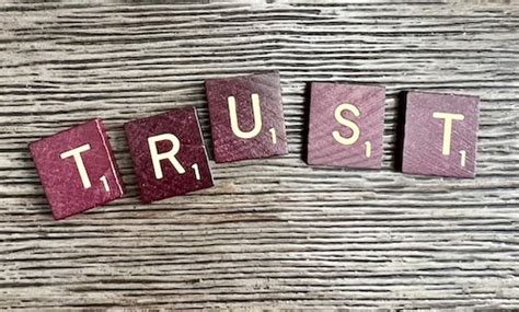 importance  trust company culture bassel hamwi executive coach