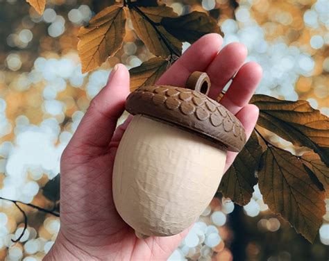 Large Acorns Extra Large Acorns Natural Acorns Real Acorns Thanksgiving