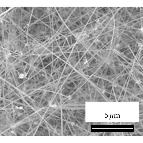 Surface Morphologies Of ZnO Grown At 700C For 2 H On Au Coated