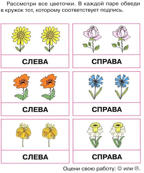 ЗАНЯТИЕ 10 - УЧИМСЯ ЛОГИЧЕСКИ МЫСЛИТЬ - ЛОГИКА ДЛЯ ДОШКОЛЯТ - Каталог ...