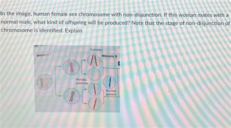 Solved In The Image Human Female Sex Chromosome With Chegg