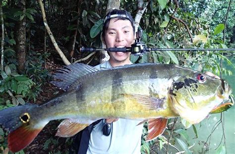 Ima Singapore: Our Catches on Ima Koume