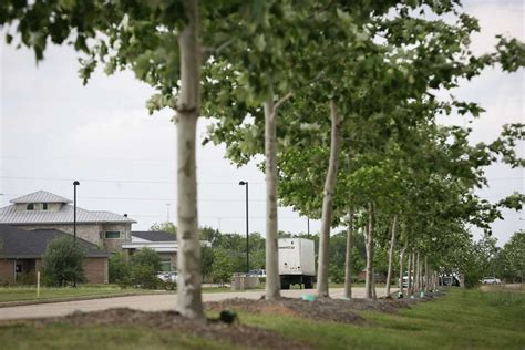 Advocacy — Houston Housing Collaborative