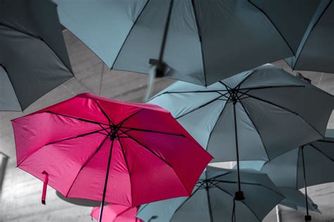 Le 7 Chiavi Del Successo: Scopri E Realizza La Tua Unicità 2