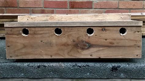 Sparrow Nest Box
