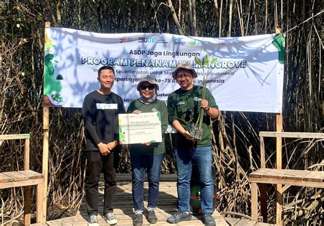 Tanam Bibit Pohon Mangrove Asdp Berkontribusi Untuk Masa Depan