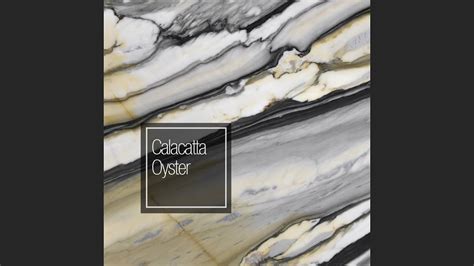 Calacatta Oyster Youtube