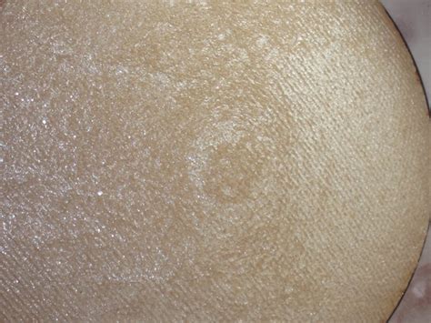 Urban Decay Naked Illuminated Shimmering Powder For Face And Body Review Swatches Musings Of