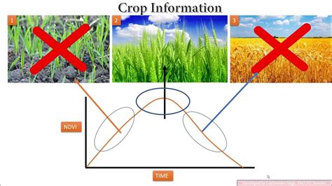 Selection Of Best Ndvi For Crop Yield Modelling In Gis Youtube