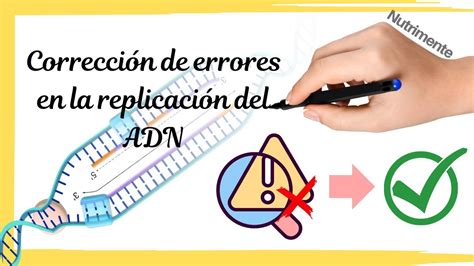 CORRECCIÓN de ERRORES en la REPLICACIÓN del ADN YouTube