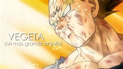 Vegeta Mi más grande orgullo Homenaje a Vegeta