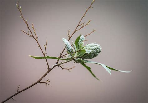 How Can a QR Code System Simplify the Process of Logging New Donations