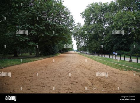 Hyde Park London Aug People Sunbathe And Enjoy Hot Weather In Hyde Park London As