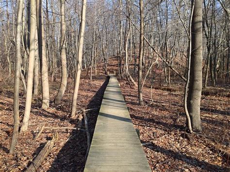 Cheesequake State Park – Green Trail | njHiking.com