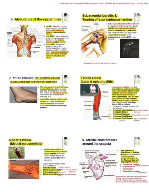 Medical Students Find Proximal Anatomy Concepts Are Surprisingly Complex - RYZE Superfoods