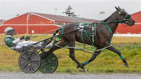 Mickie Mantle Wins Again Five Straight For Armycaptin Standardbred