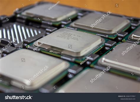 83 imágenes de Celeron - Imágenes, fotos y vectores de stock | Shutterstock