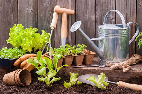 10 Ways To Make Your Garden More Eco Friendly Farm Flavor