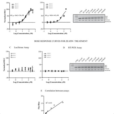 Doseresponse Curves For Kinetin A B Or Zeatin C D Treatments