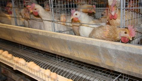 Блог о курах - интересная и полезная информация для начинающих