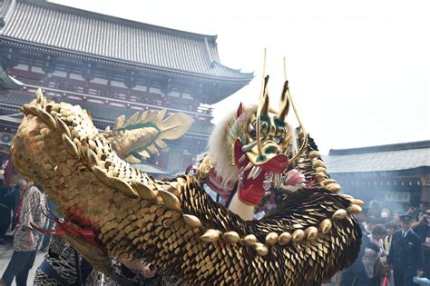 [100+] Guld Drage Wallpapers | Wallpapers.com